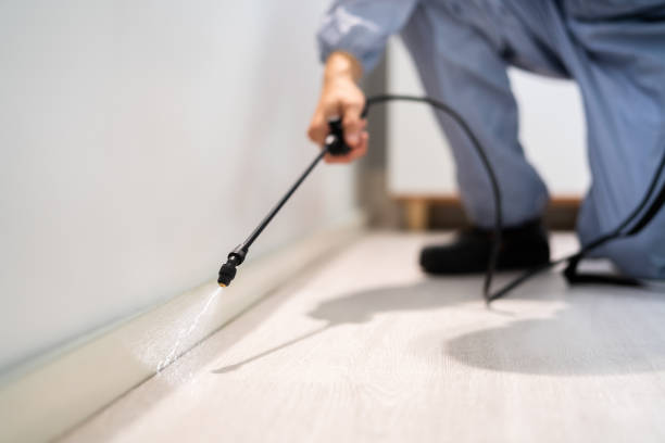 Licensed Pest Control service in Lely Resort, FL - Show Me Pest Control