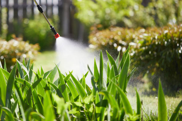 24/7 Emergency Wasp Removal experts in Lely Resort, FL
