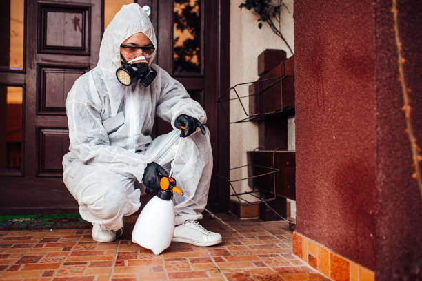Reliable Wasp Removal contractor in Lely Resort, FL by Show Me Pest Control